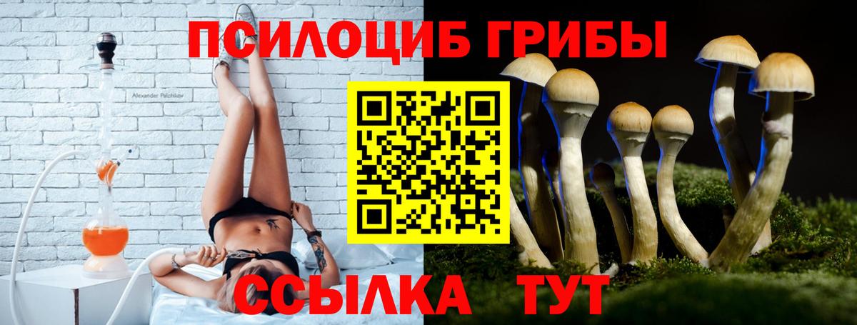 Псилоцибиновые грибы Psilocybine cubensis Бутурлиновка